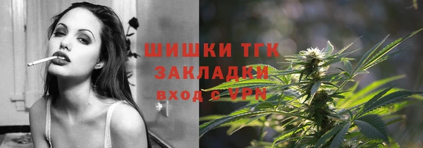 индика Верхний Тагил