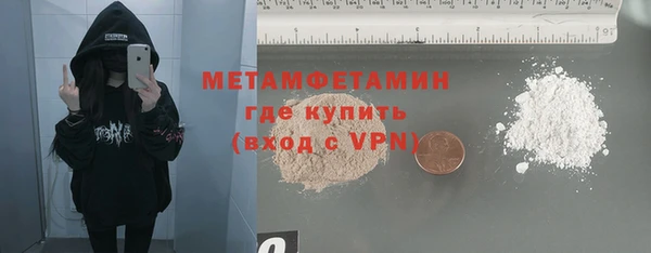 индика Верхний Тагил